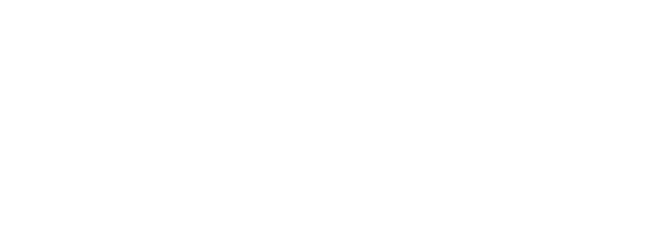 Logo W Corporate Font Bianco